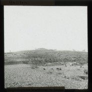 Böhl glass slide 61.2/1703